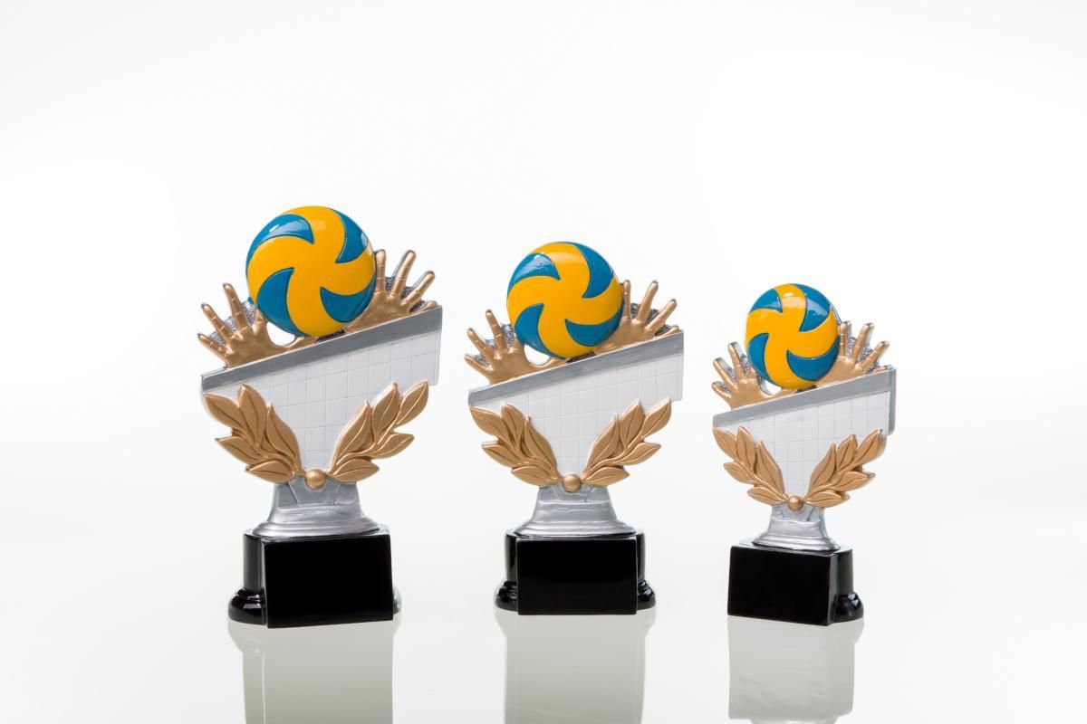 Volleyballpokal